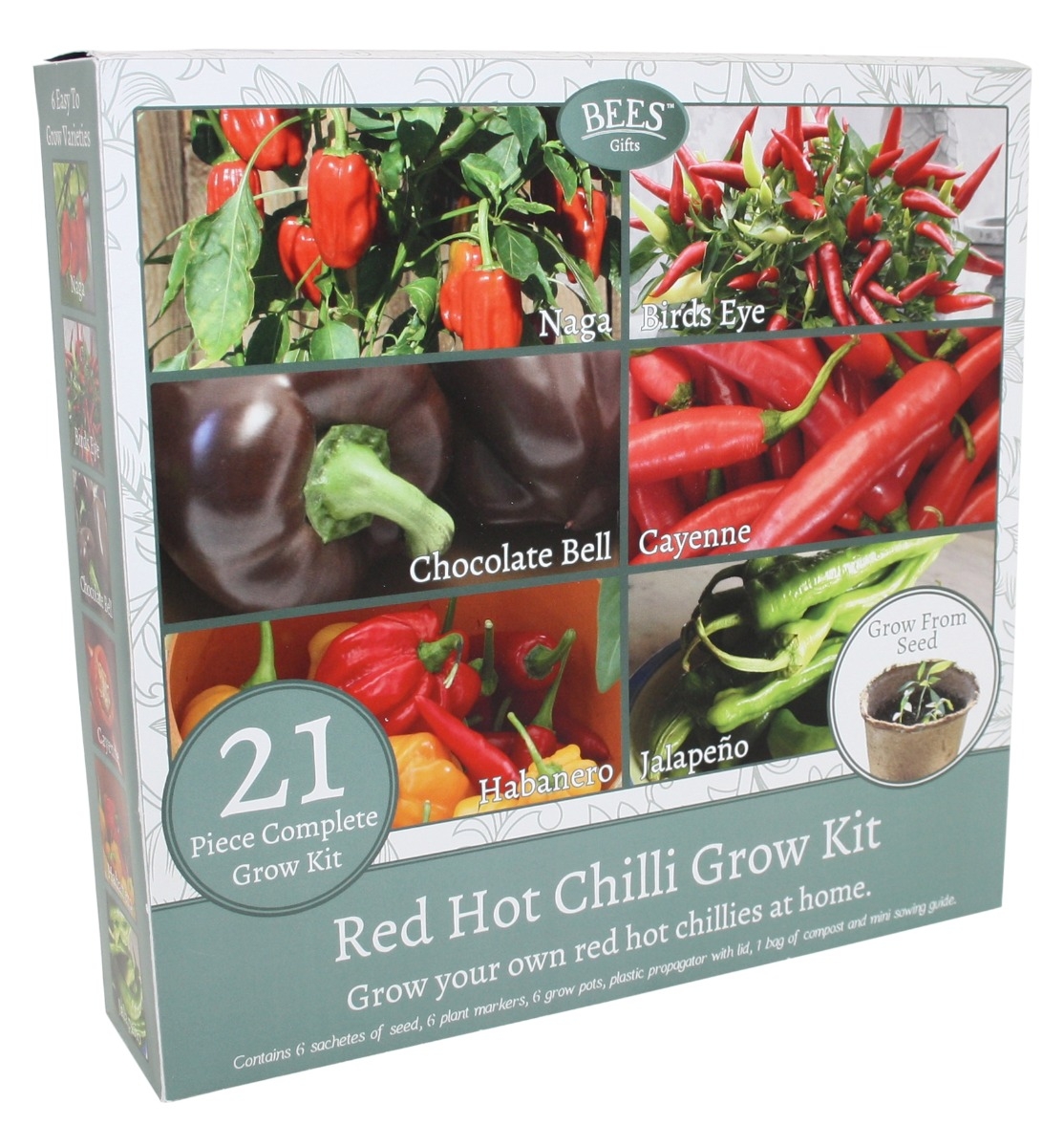 How To Grow Chilli Plants Faster Tropical Plant Guy