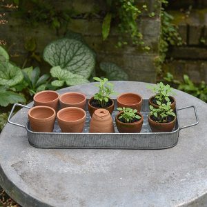Traditional Terracotta grow pots and tray - Buy Chai Wala Pots for gardening