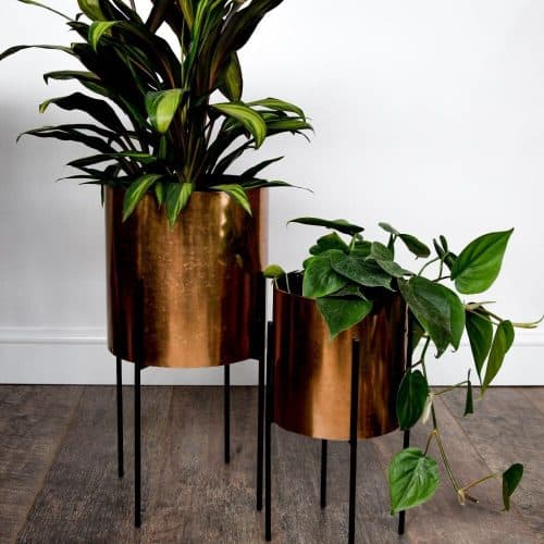 Plant Stands & Plant pot stands
