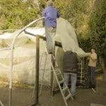 The new poly tunnel